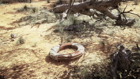Forgotten lifebuoy rests on cracked earth under a brilliant sun
