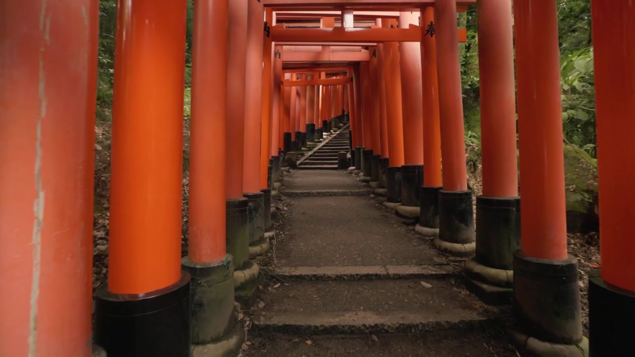 Pohled na ikonické rumělkové brány Torii u svatyně Fushimi Inari Taisha v Kjótu, Japonsko – Jízda kamery.