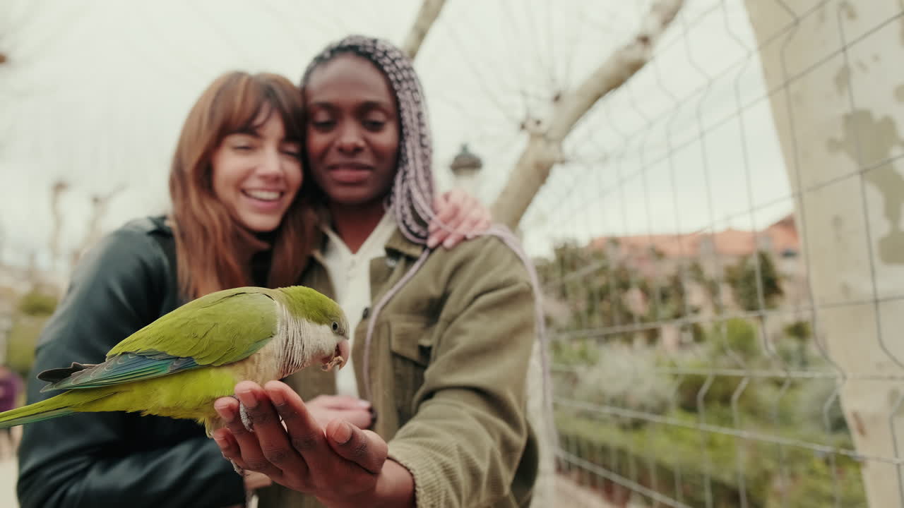 Two Happy Women Feeding a Green Parrot in a Park