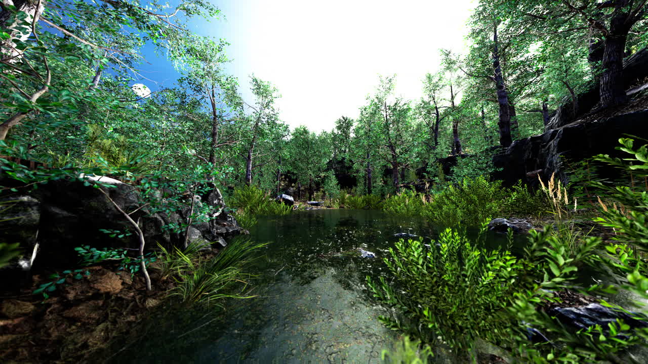 모스 로  ⁇ 인 바위 와 함께 숲 에 있는 작은 연못