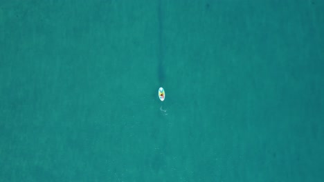 clip de drones aéreos de un atleta haciendo paddleboarding en sup board en medio del océano tropical en calpe, españa