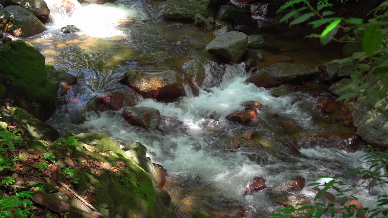 agua dulce y potable entre rocas y vegetación en un río libre de contaminación en bonao república dominicana