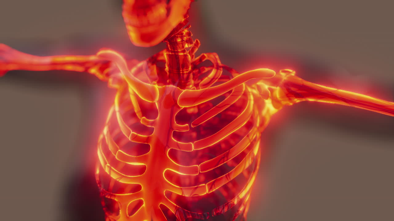 huesos esqueléticos brillantes de humanos