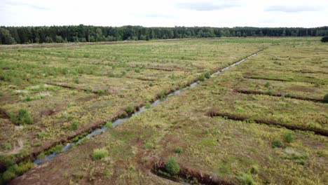 Restoration-of-peatland-after-peat-extraction.-Drone.-EU