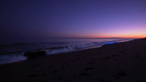 bioluminescent waves on the beach at night