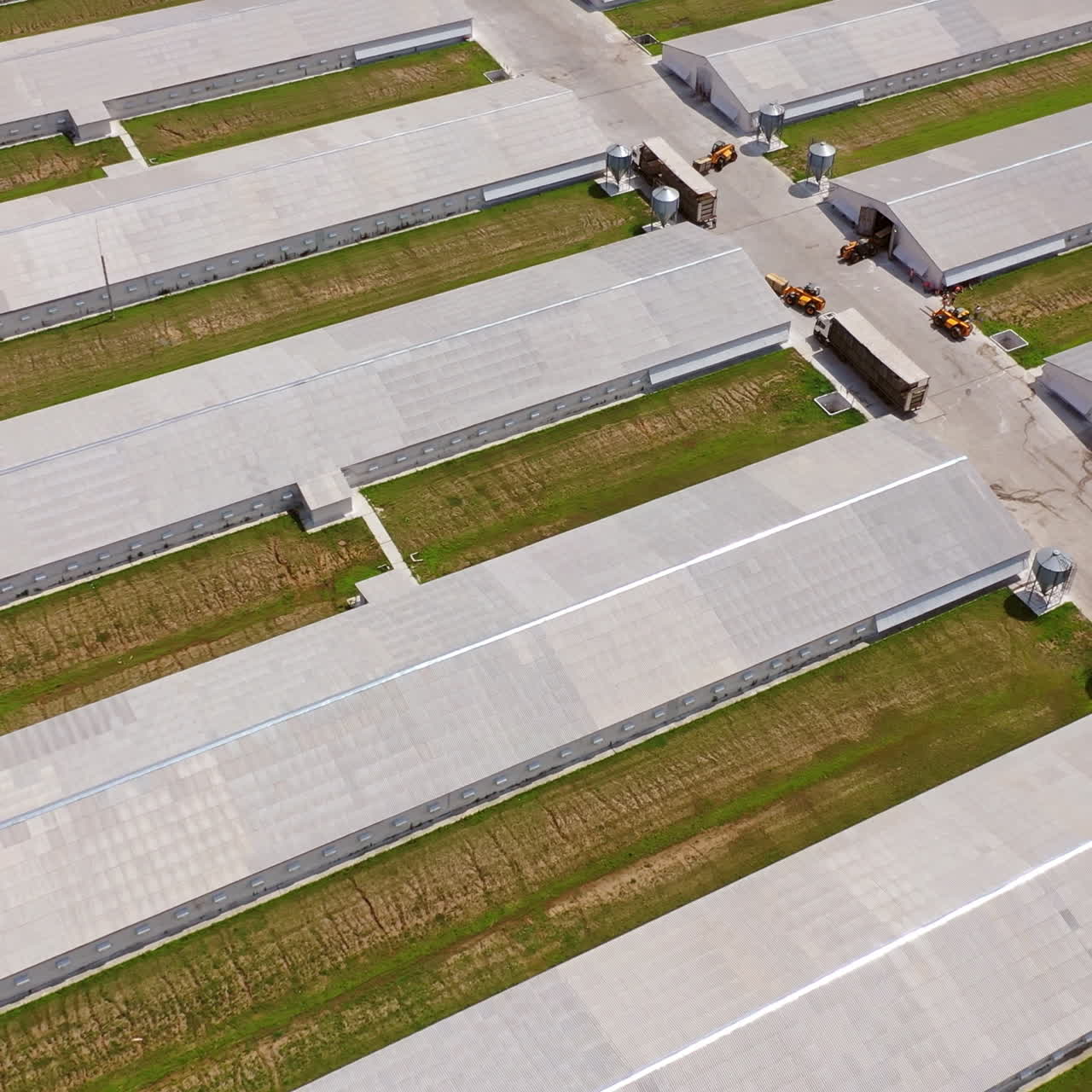 Top view on the roofs of modern buildings for poultry. Contemporary area for farming outdoors. Aerial view of two rows of long farm barns in the countryside.