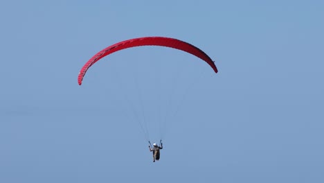 paraglider soaring above ocean and trees