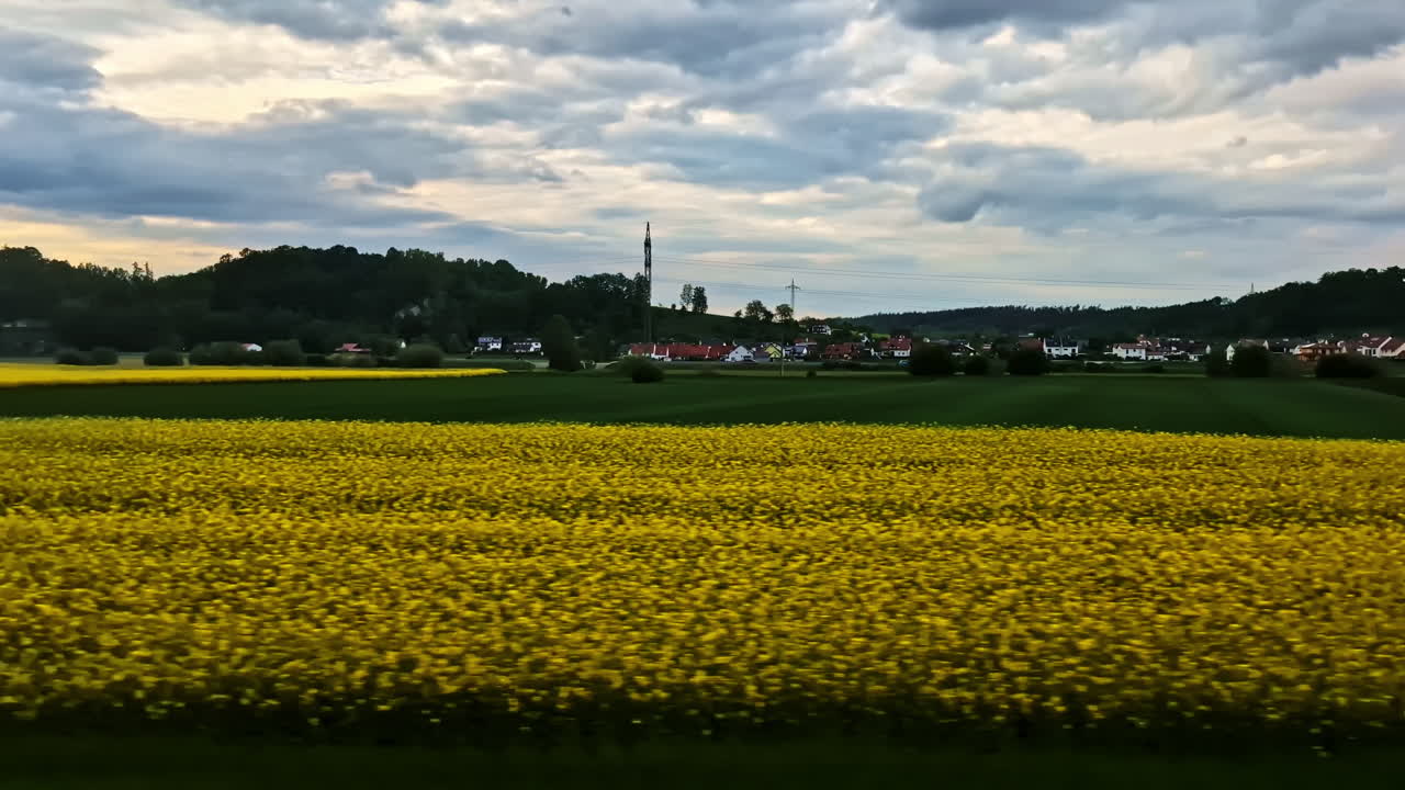 Yellow rapeseed field viewed from train passing by in Bavarian countryside, Germany