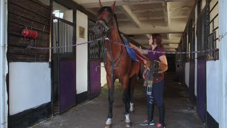 woman grooming a horse in a stable