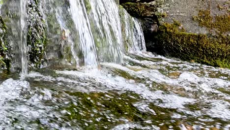 flowing water over mossy rocks at distillery