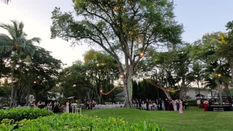 people participating in a coordinated outdoor event