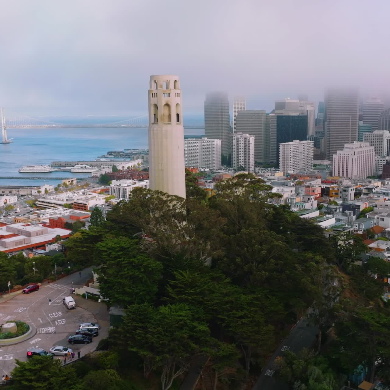 Amazing city by the bay. Stunning San Francisco skyscrapers with their tops in the foggy skies. Beautiful tower surrounded by green trees. Top view