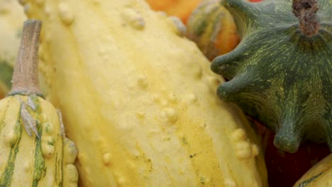 up-close slow motion pan of pumpkin and gourd variety fall display