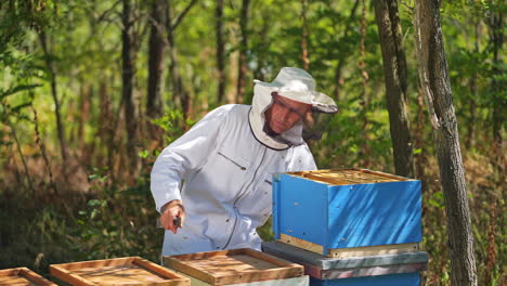 beekeeper is working with bees and beehives on the apiary. frames of a bee hive
