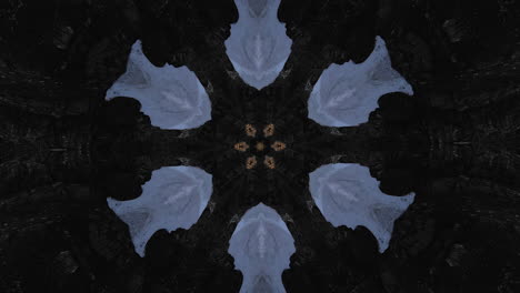 abstract flower-like kaleidoscope animated pattern