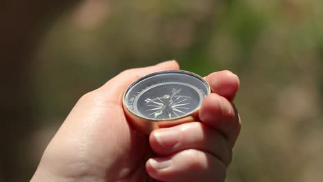 traveler hand holds a compass in forest