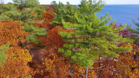 drone dives into colorful autumn forest by clear blue lake, scenic view