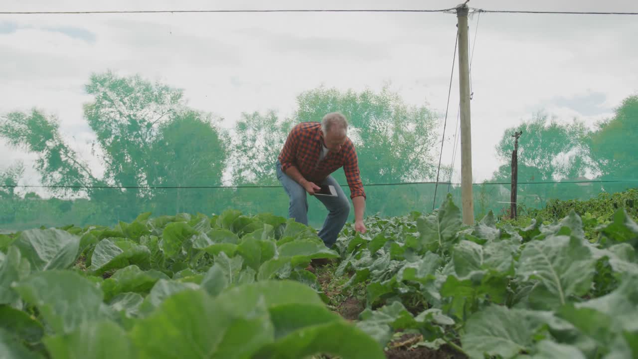 농장에서 일하는 성숙한 남자