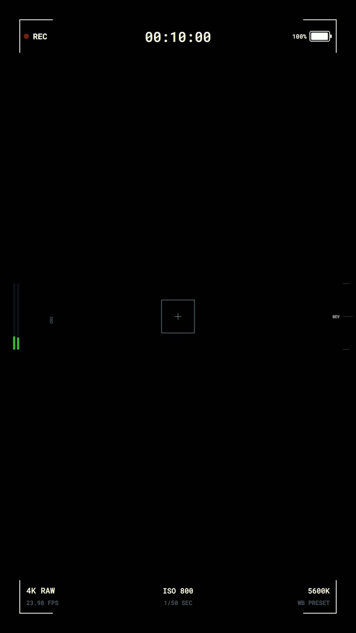 Digital Camera Recording Interface Overlay