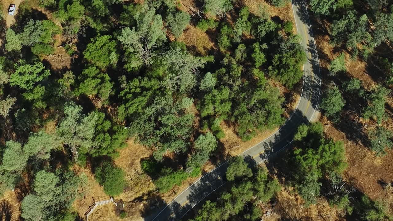 Strada tortuosa che attraversa un'area boschiva negli USA, ripresa dall'alto