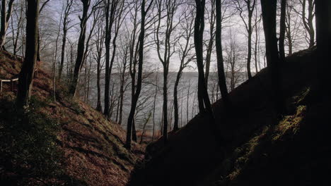 canyon in a forest looking towards water on a beautiful sunny day in the winter