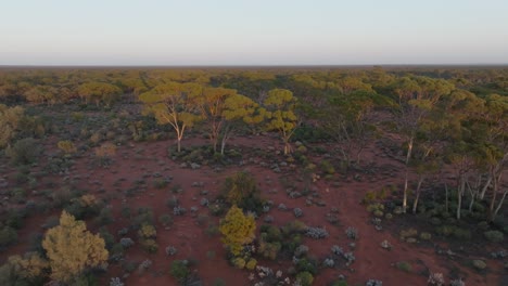 unique drone clip showing brightly colourful australian outback