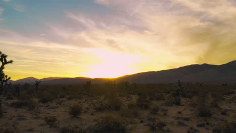 aerial, cinematic sunrise in mojave desert mountain landscape with joshua trees