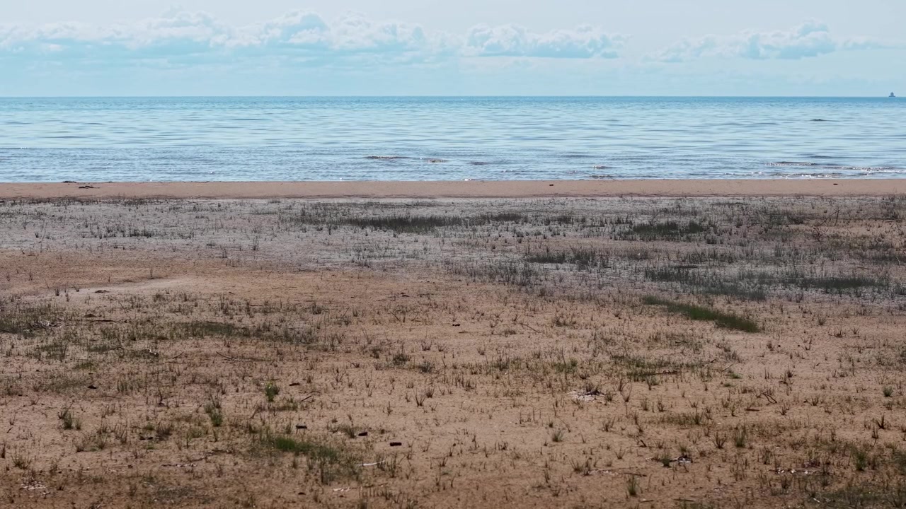 Luftfoto af en sandstrand, der fører til det rolige vand i Lake Huron nær Hessel, Michigan, med Les Cheneaux-øerne i det fjerne.