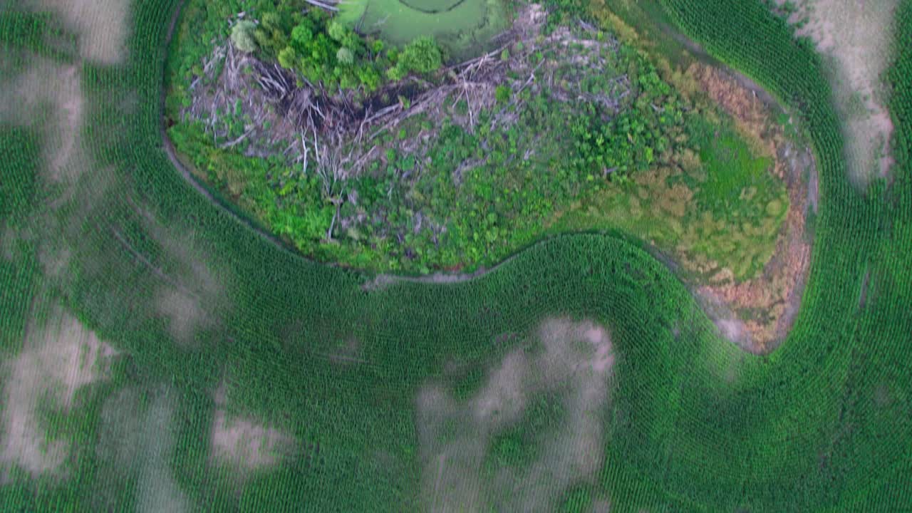 летящий над головой узор пейсли ферма сельская местность