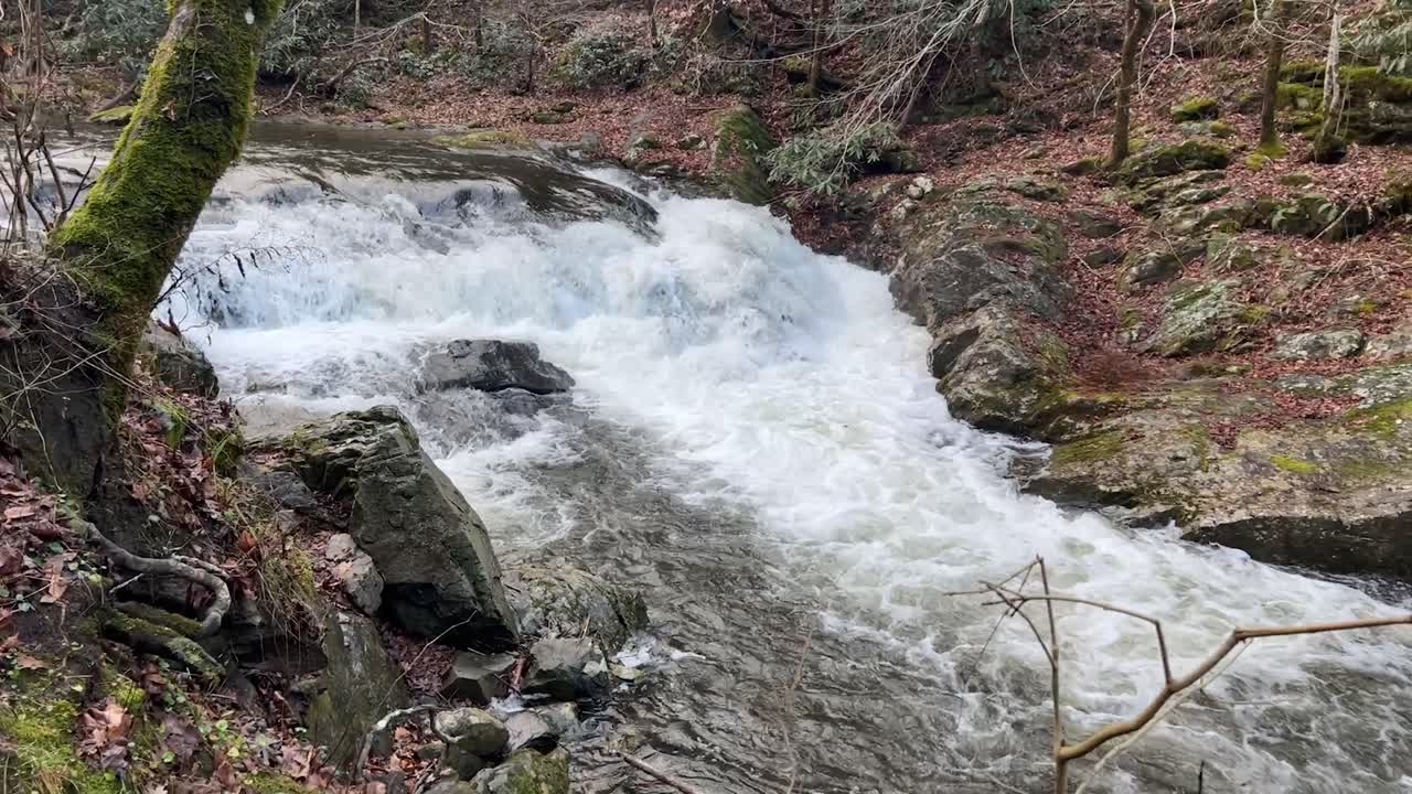 Mountain Stream in the beautiful Smoky Mountains of Tennessee, North Carolina, and Appalachia.
