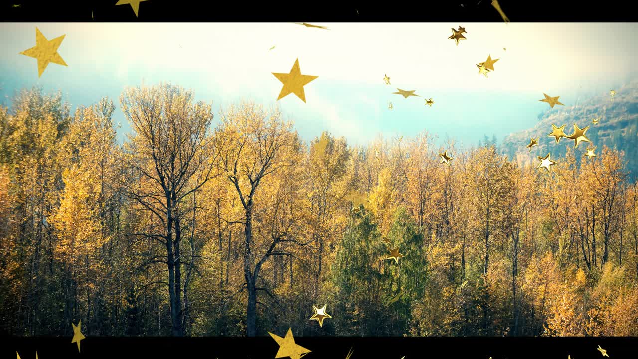 Forest calm sending golden stars drifting as white line drawing peony border as decor dispersing