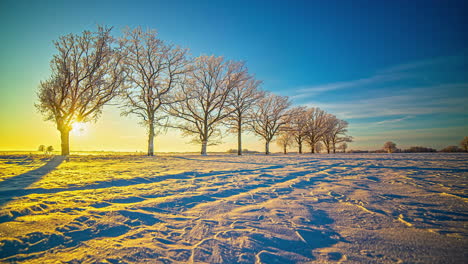 sunset to sundown beyond a row of trees covered in frost in a winter wonderland of colors and shadows - time lapse