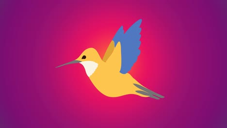 animation of bird over purple background