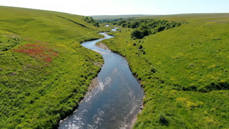scenic aerial view of a river flowing through a green landscape