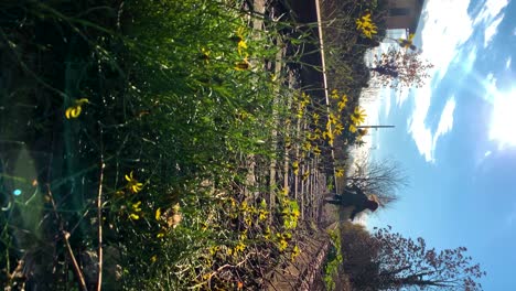 yound-daughter-jumps-and-runs-towards-the-sun-along-rusted-abandoned-rails