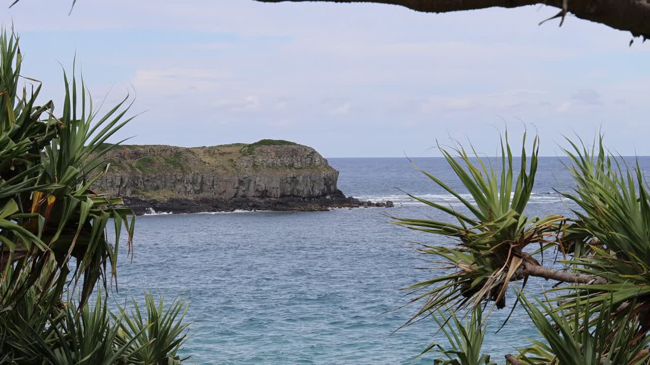 vista estática del océano enmarcada por plantas verdes vibrantes