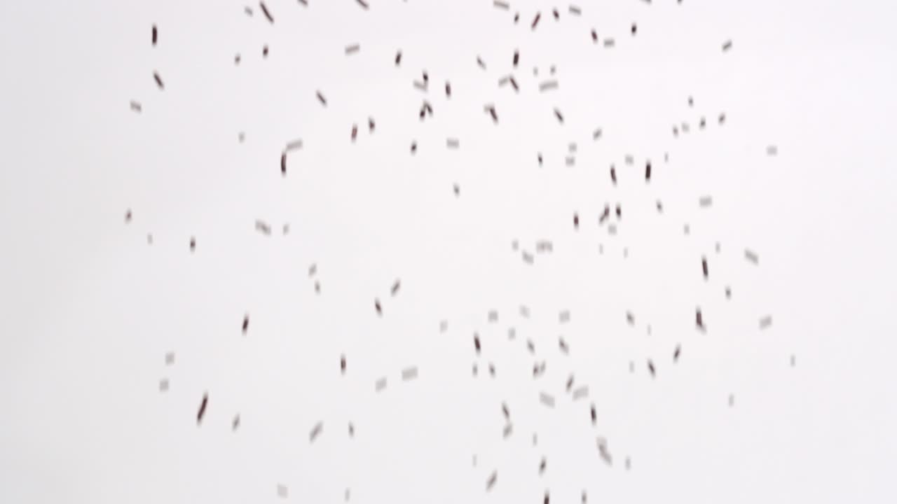 Brown chocolate sprinkles ice cream topping ingredient raining down in slow motion on white backdrop