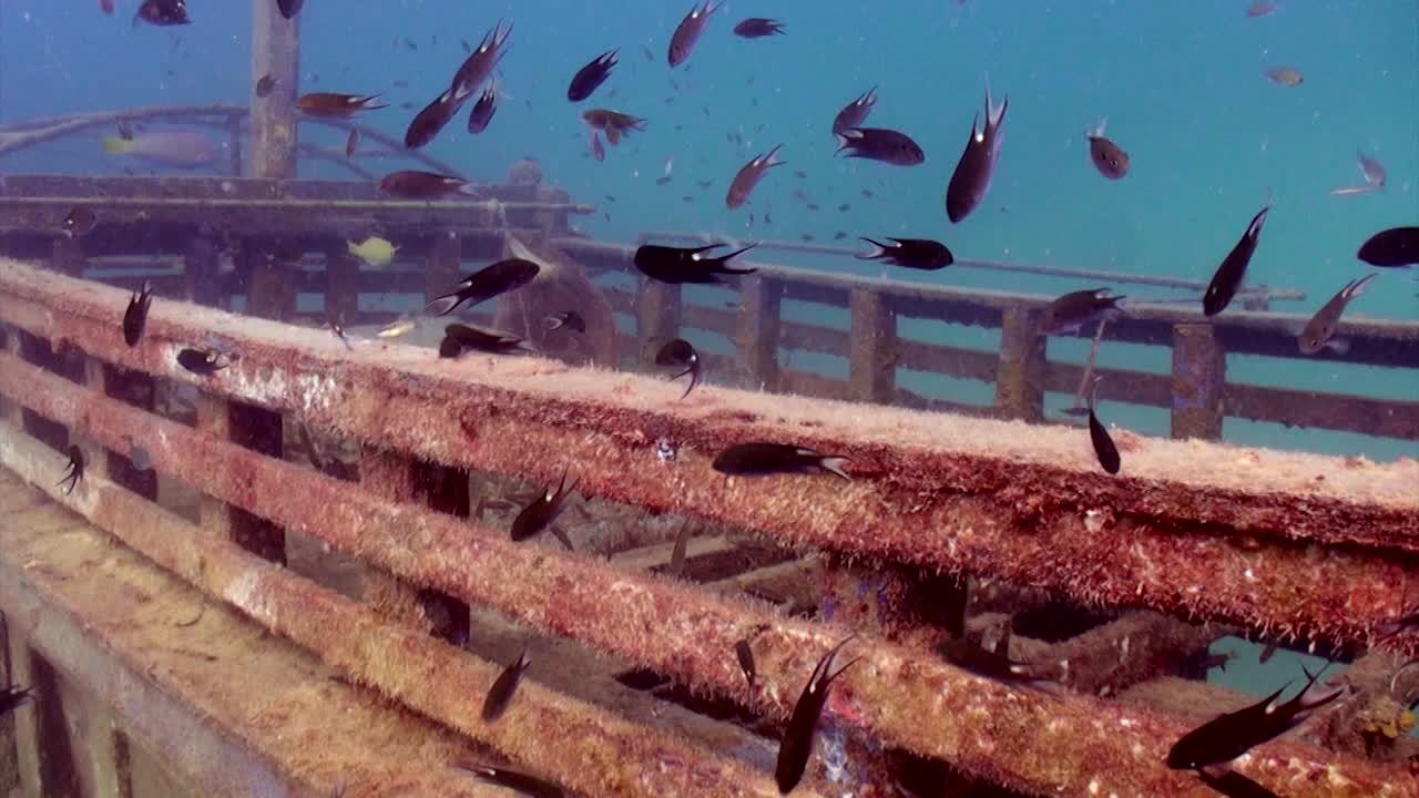 나무 보트 수중 -3