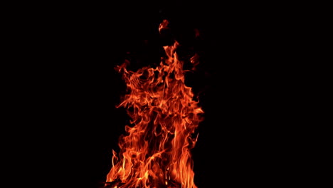 orange blaze at night. beautiful hypnotizing campfire burning in darkness.