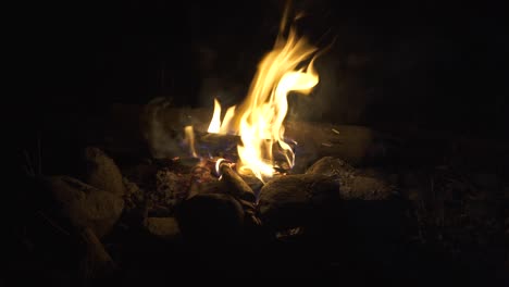 4k imágenes de hoguera quemando árboles por la noche.
