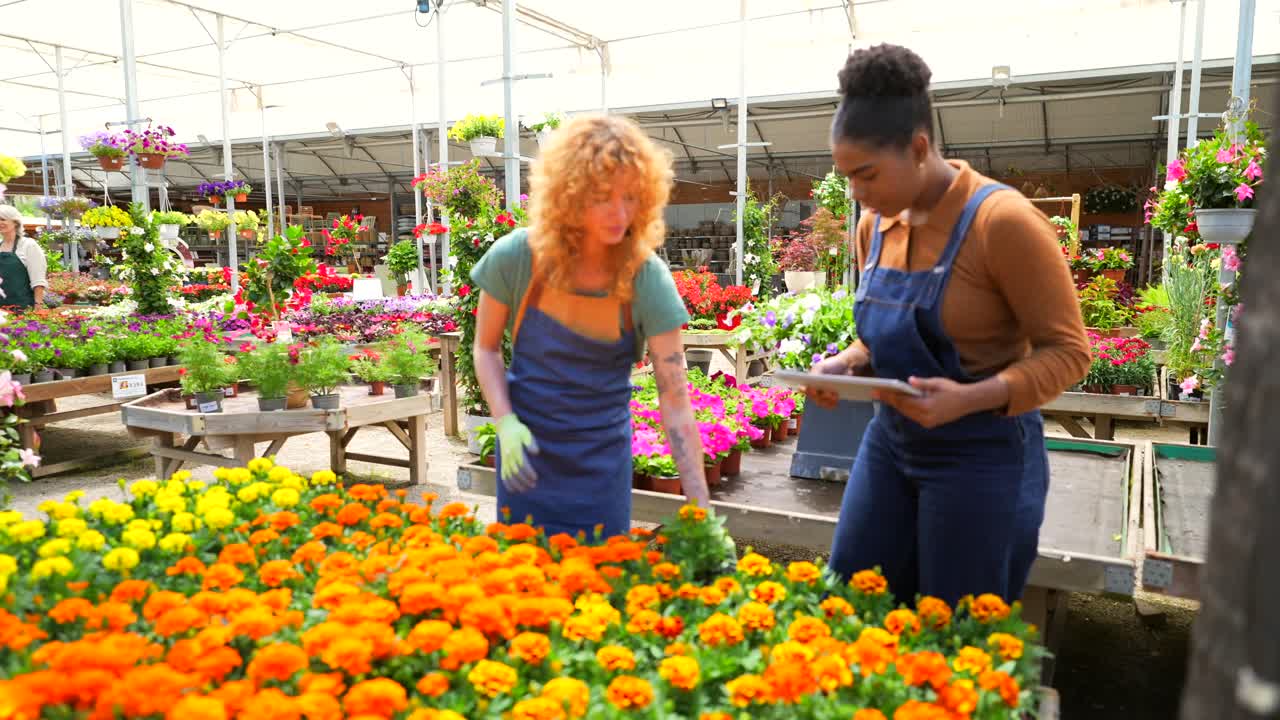 Women Working in a Greenhouse