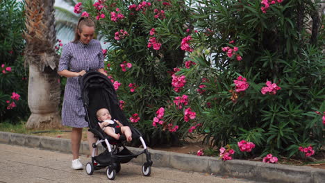 among the blossoming beauty of a summer park, a young mother strolls with her baby in a stroller. the happiness she feels walking beside her son is clear