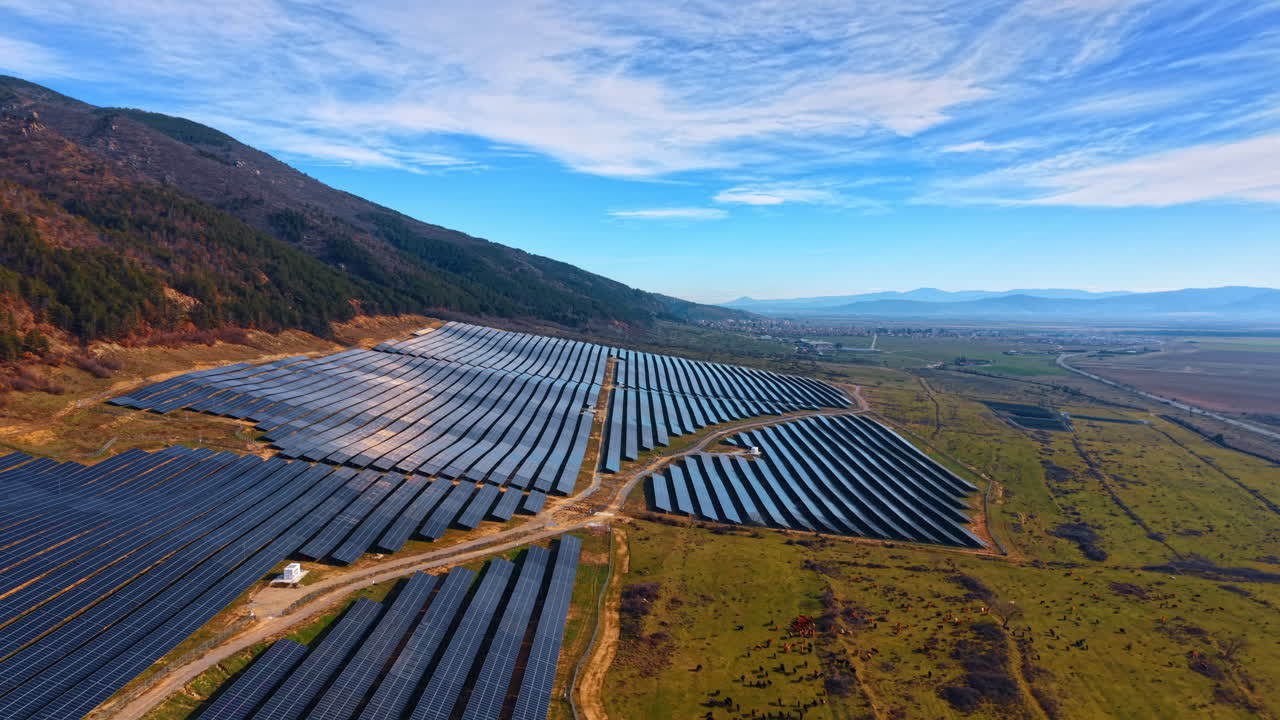 Brede rækker af fotovoltaiske moduler i en stor solcellepark. Symmetriske rækker af solpaneler, der dækker et bjergskråningsområde med kvæg, der græsser på en tilstødende grøn mark.
