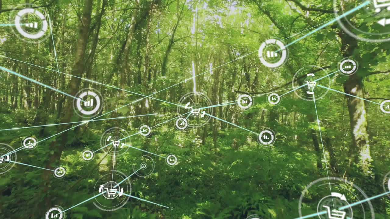 Animated illustration visualizing network overlay connecting cart and chart icons in sunlit forest