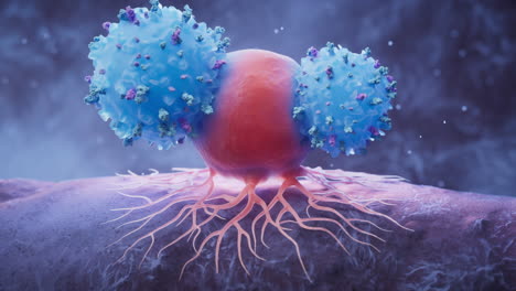 biological lymphocytes and cancer cell, 3d rendering.