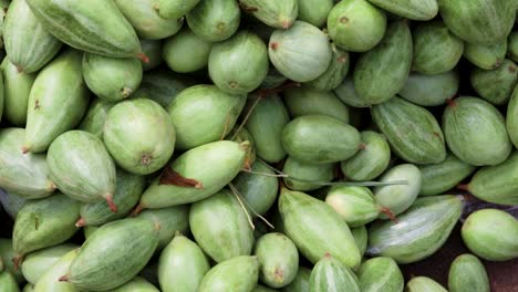 fresh-organic-pointed-gourd-from-farm-close-up-from-different-angle