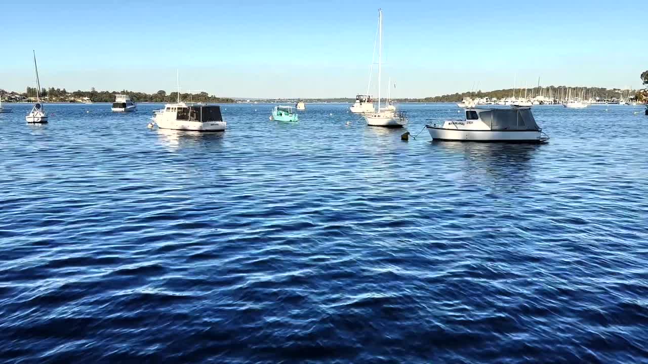Barche e yacht sul fiume Swan a Peppermint Grove, Perth, Australia Occidentale