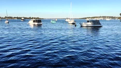 Boats-and-yachts-on-Swan-River-at-Peppermint-Grove,-Perth,-Western-Australia