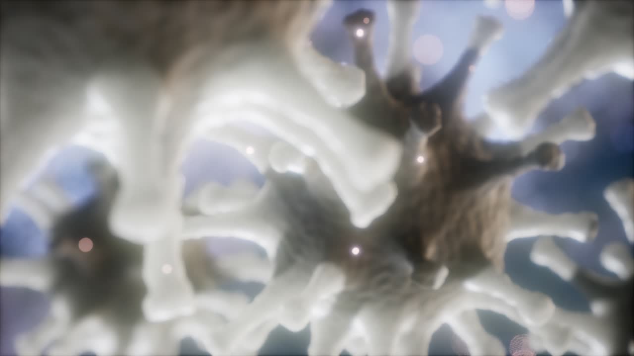 코로나 바이러스 ncov 호흡기 바이러스 개념