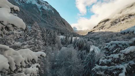 Una-Vista-Aérea-Del-Cirque-Du-Fer-à-Cheval-Mientras-Está-Cubierto-De-Nieve-Durante-Un-Frío-Invierno,-Yendo-Rápido-Y-Apretado-Entre-La-Punta-Del-Lecho-Del-Bosque-Con-Un-Dron-Fpv-Para-Revelar-El-Pico-Tenneverge